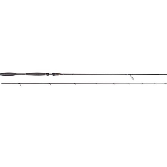 Westin W10 Spin 5-24g 270cm